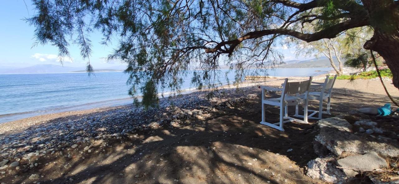 Vikos Beach Apartments Paralia Irion 외부 사진