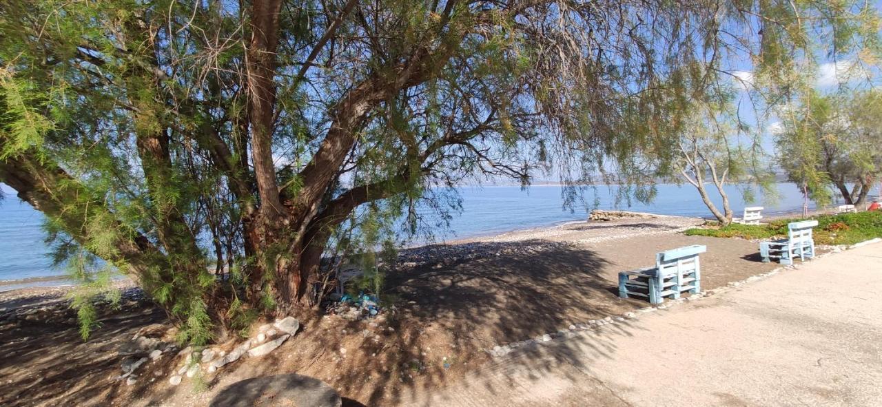 Vikos Beach Apartments Paralia Irion 외부 사진