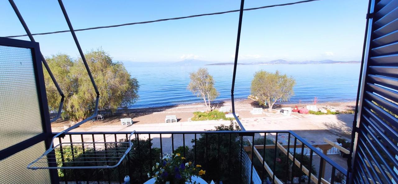 Vikos Beach Apartments Paralia Irion 외부 사진