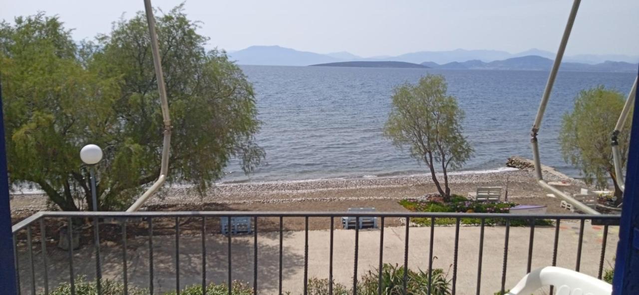 Vikos Beach Apartments Paralia Irion 외부 사진