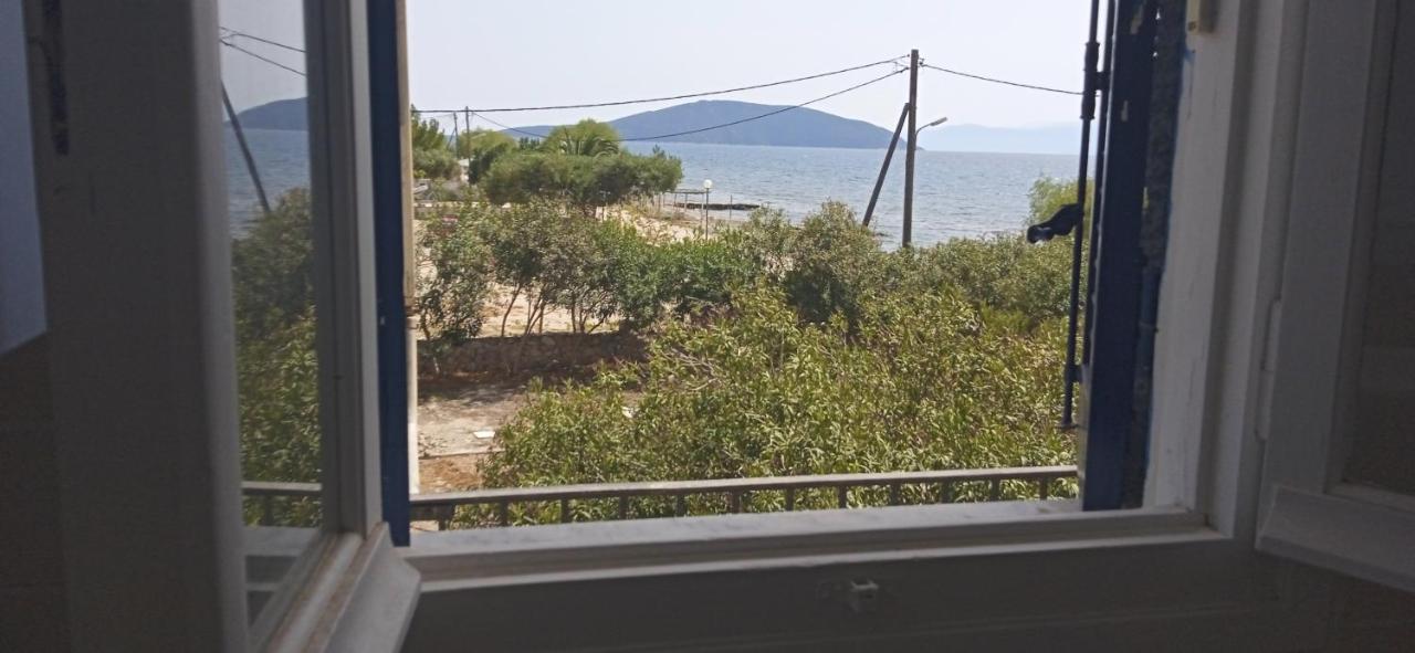 Vikos Beach Apartments Paralia Irion 외부 사진