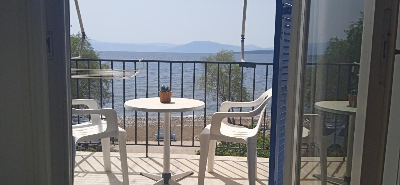 Vikos Beach Apartments Paralia Irion 외부 사진