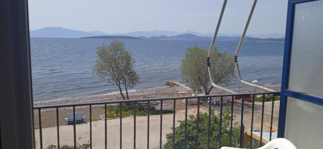 Vikos Beach Apartments Paralia Irion 외부 사진