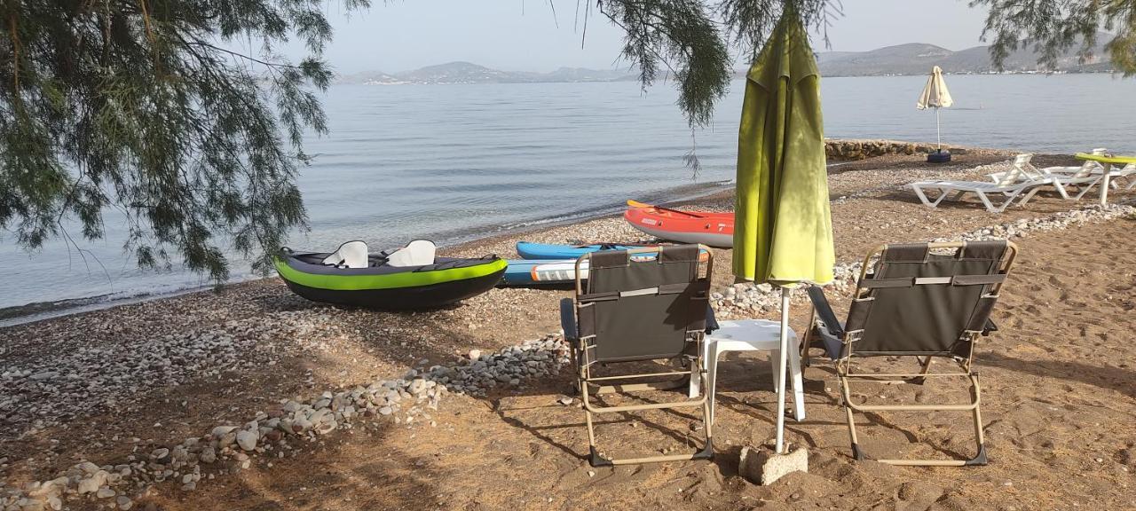 Vikos Beach Apartments Paralia Irion 외부 사진