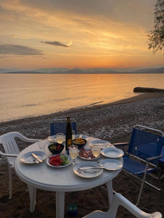 Vikos Beach Apartments Paralia Irion 외부 사진