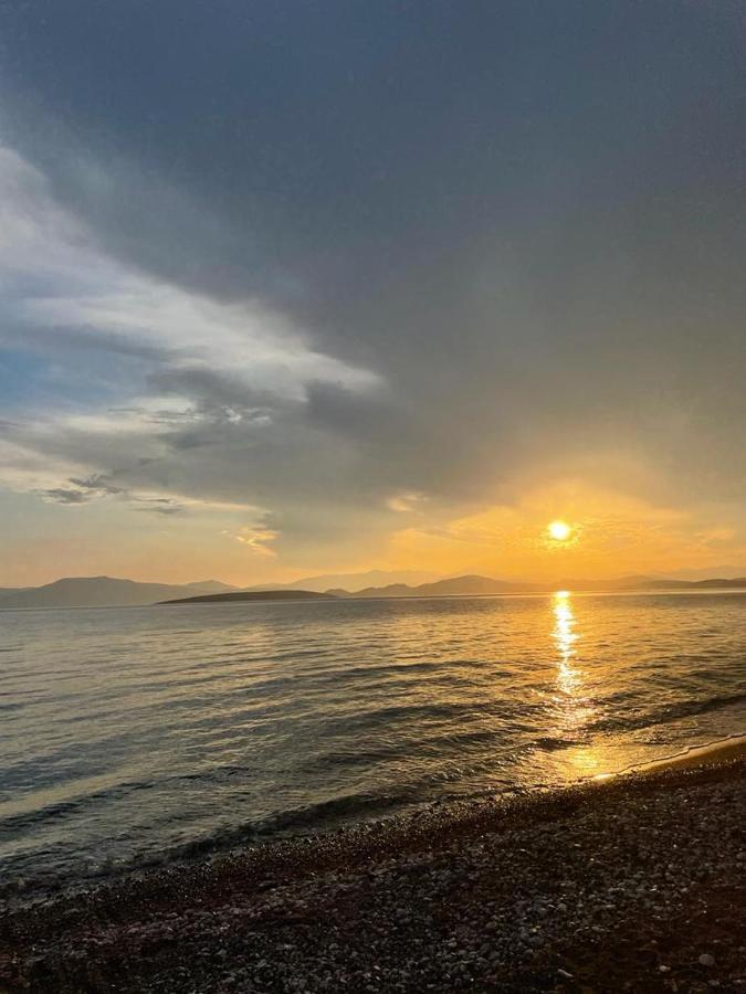 Vikos Beach Apartments Paralia Irion 외부 사진